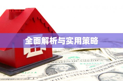 射洪全面解析与实用策略