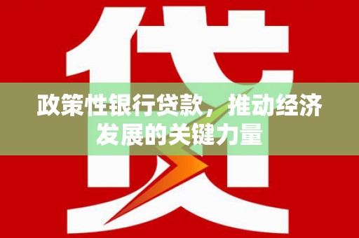 射洪政策性银行贷款，推动经济发展的关键力量