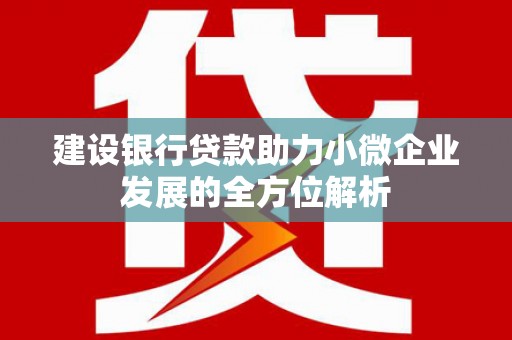 射洪建设银行贷款助力小微企业发展的全方位解析