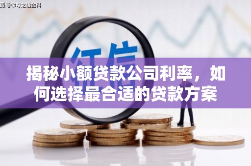 射洪揭秘小额贷款公司利率，如何选择最合适的贷款方案