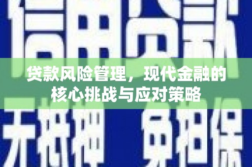 射洪贷款风险管理，现代金融的核心挑战与应对策略