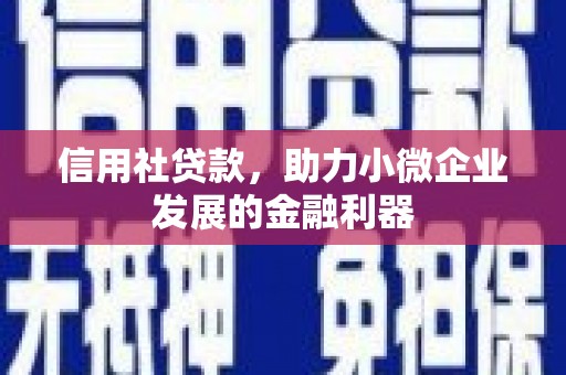 射洪信用社贷款，助力小微企业发展的金融利器
