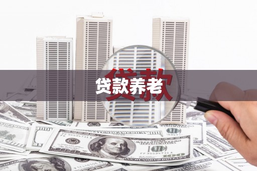 射洪贷款养老