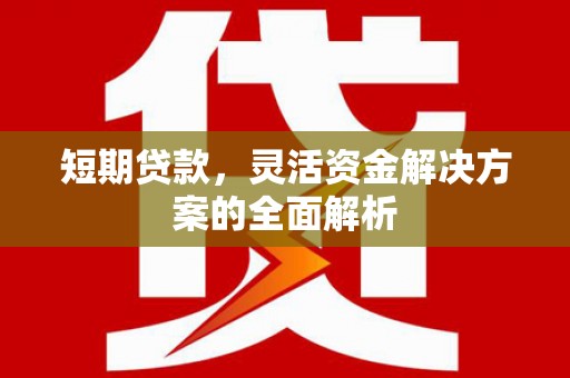 射洪短期贷款，灵活资金解决方案的全面解析