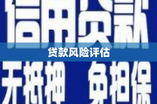 射洪贷款风险评估