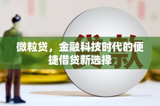 射洪微粒贷，金融科技时代的便捷借贷新选择