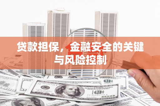 射洪贷款担保，金融安全的关键与风险控制