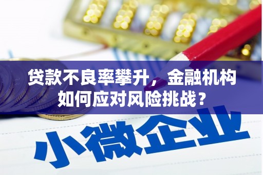 射洪贷款不良率攀升，金融机构如何应对风险挑战？