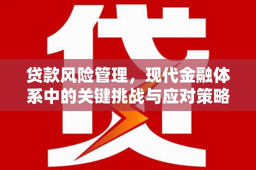 射洪贷款风险管理，现代金融体系中的关键挑战与应对策略