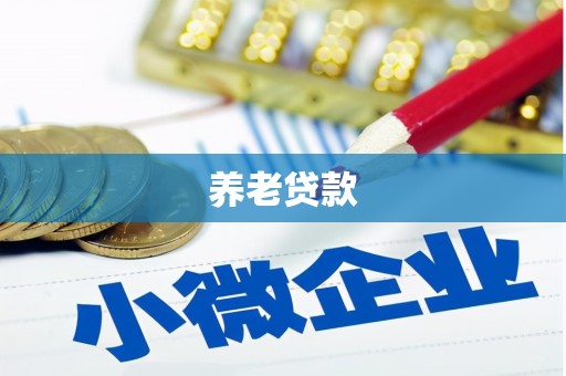射洪养老贷款