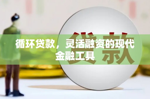 射洪循环贷款，灵活融资的现代金融工具