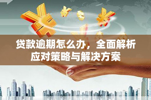 射洪贷款逾期怎么办，全面解析应对策略与解决方案