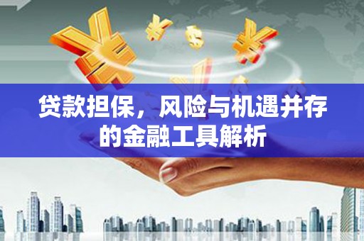 射洪贷款担保，风险与机遇并存的金融工具解析
