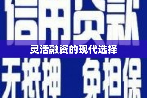 射洪灵活融资的现代选择