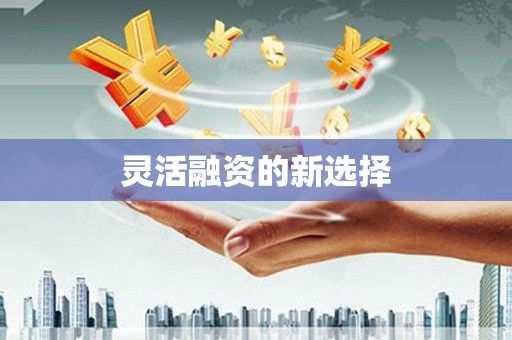 射洪灵活融资的新选择