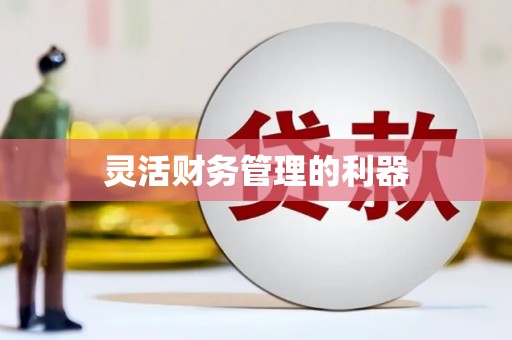 射洪灵活财务管理的利器