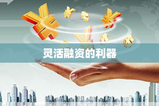 射洪灵活融资的利器