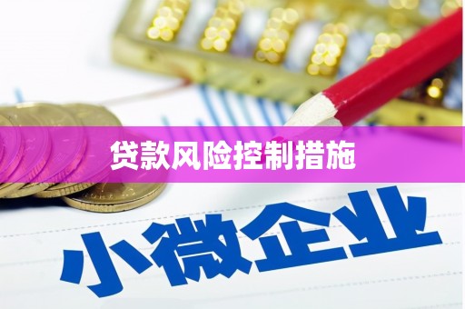 射洪贷款风险控制措施