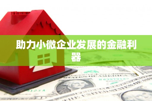 射洪助力小微企业发展的金融利器