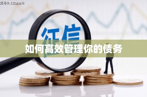 射洪如何高效管理你的债务