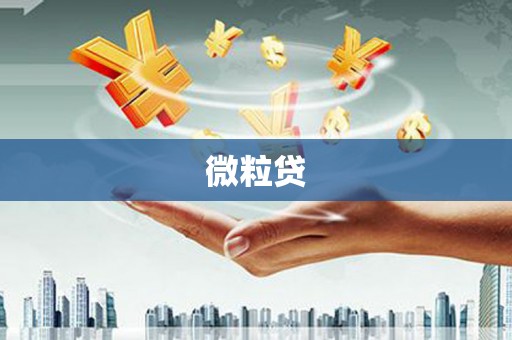 射洪微粒贷
