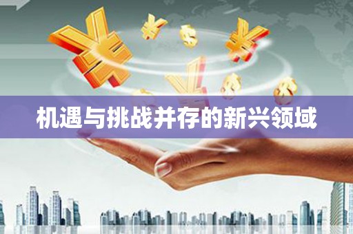 射洪机遇与挑战并存的新兴领域