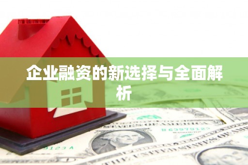 射洪企业融资的新选择与全面解析