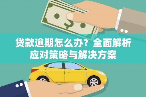 射洪贷款逾期怎么办？全面解析应对策略与解决方案