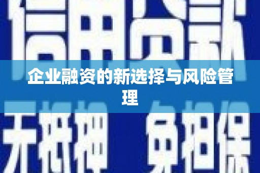 射洪企业融资的新选择与风险管理
