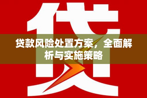 射洪贷款风险处置方案，全面解析与实施策略