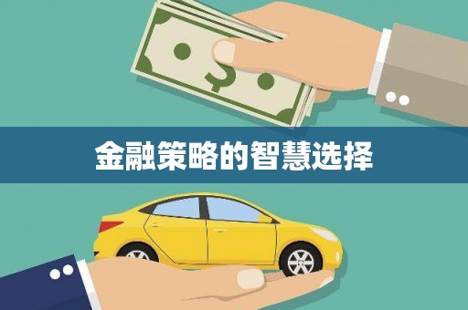 射洪金融策略的智慧选择