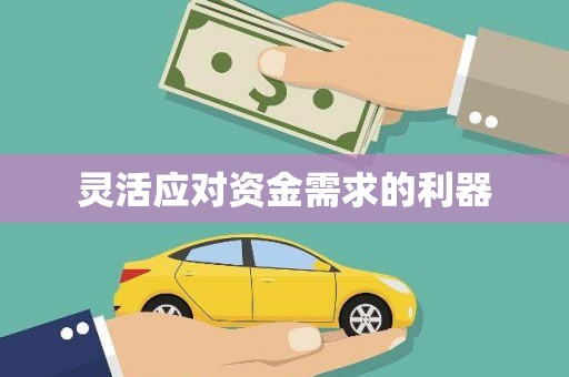 射洪灵活应对资金需求的利器