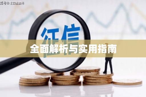 射洪全面解析与实用指南