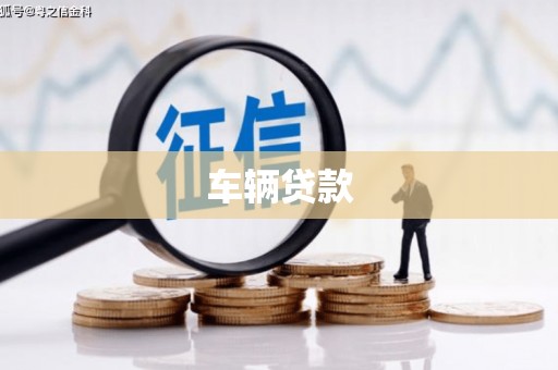 射洪车辆贷款