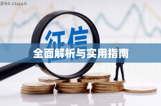射洪全面解析与实用指南