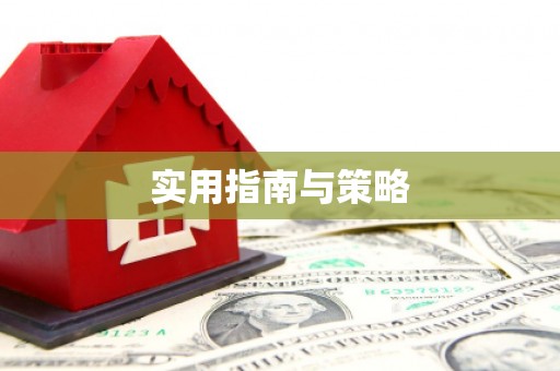 射洪实用指南与策略