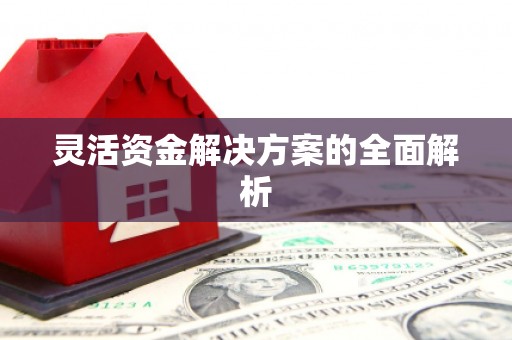 射洪灵活资金解决方案的全面解析